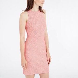Ann Taylor Size 6 Hibiscus Coral Jacquard Sheath Dress